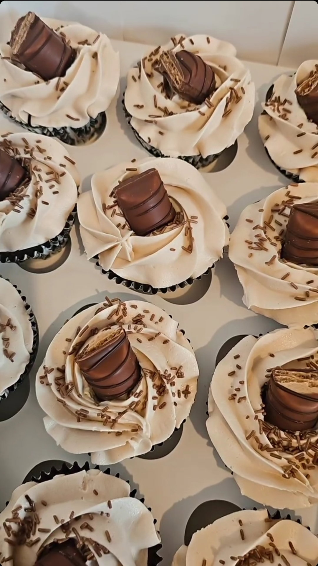 24 Cupcakes _0