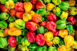 Verduras e Legumes