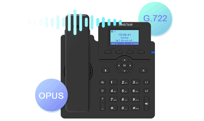 DINSTAR C60UP Entry Level IP Phone with POE & With Adapter