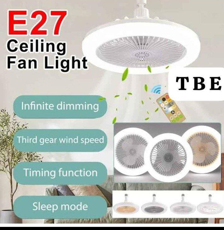 Ceiling Light fan_1