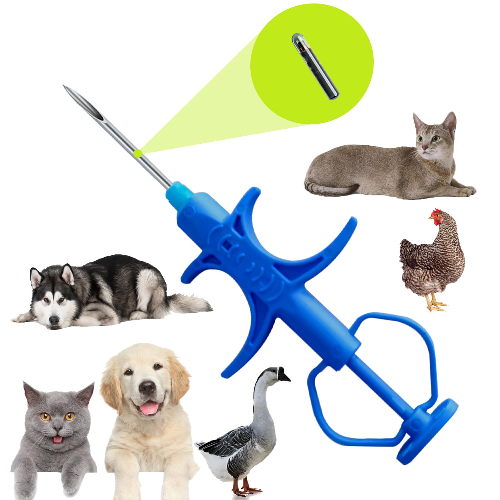 Pet Microchip_1
