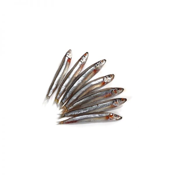 Halmessa (Anchovy)