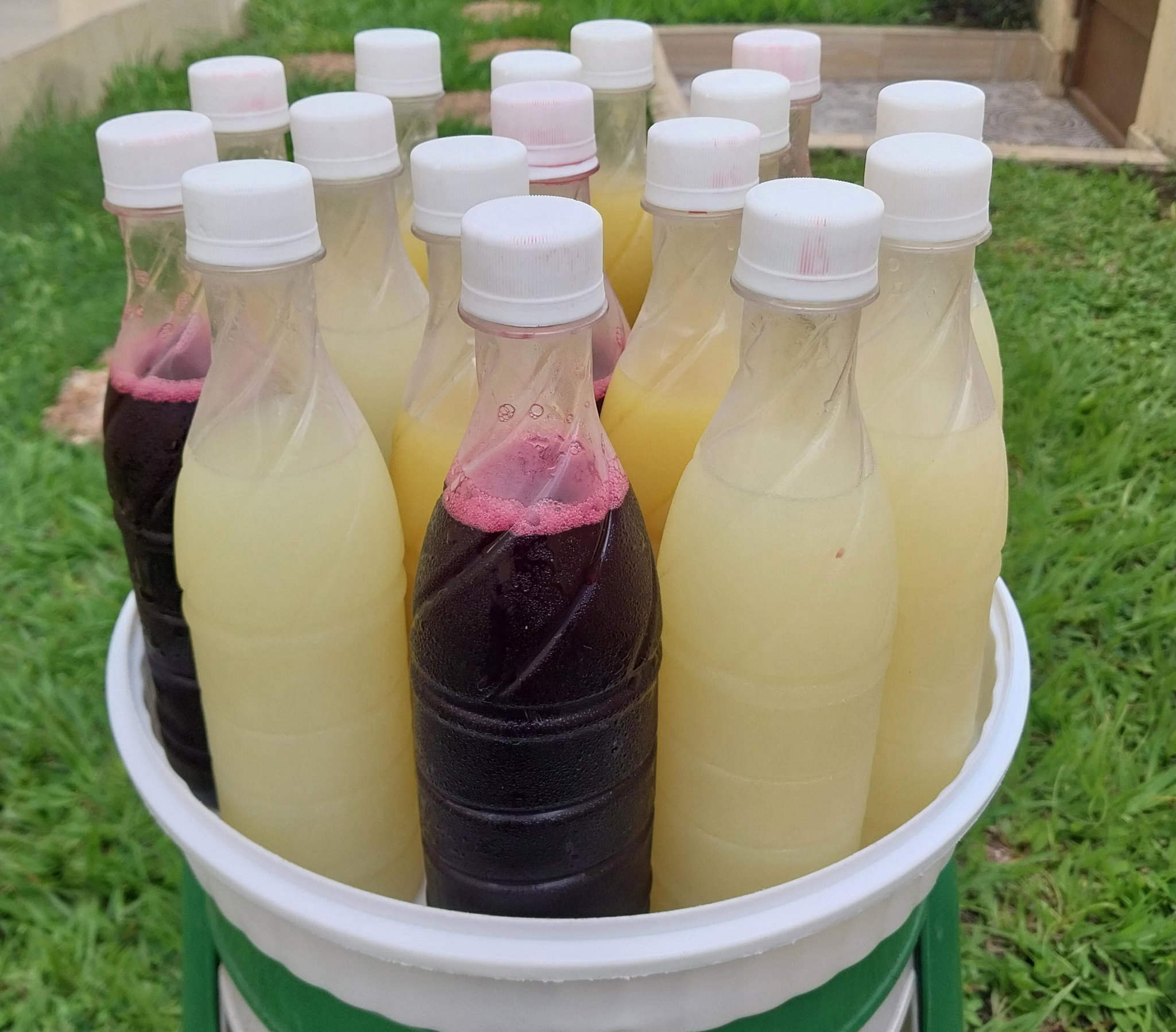 JUS LOCAL_0