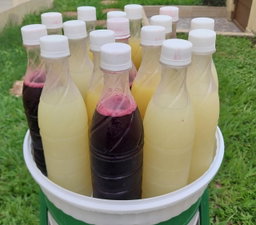 JUS