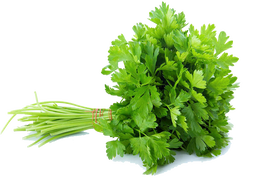 SALSA (ATADO)
