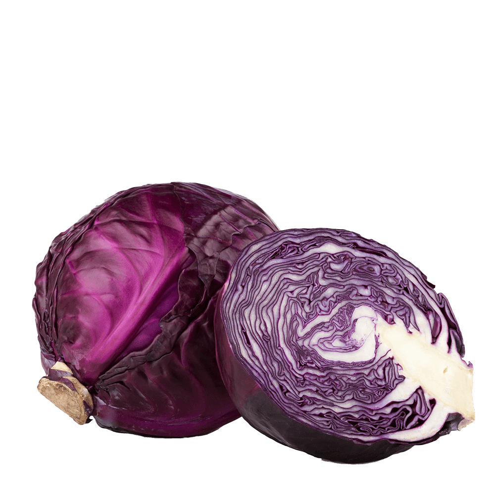 REPOLHO ROXO (1 UNIDADE)_0
