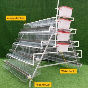 A-type 128 birds layer chicken cage_0