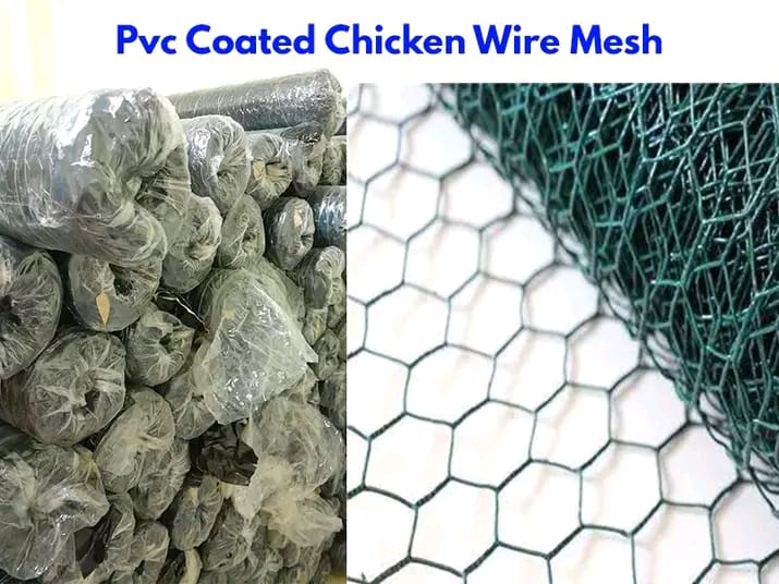 Green Coated chicken wire_0