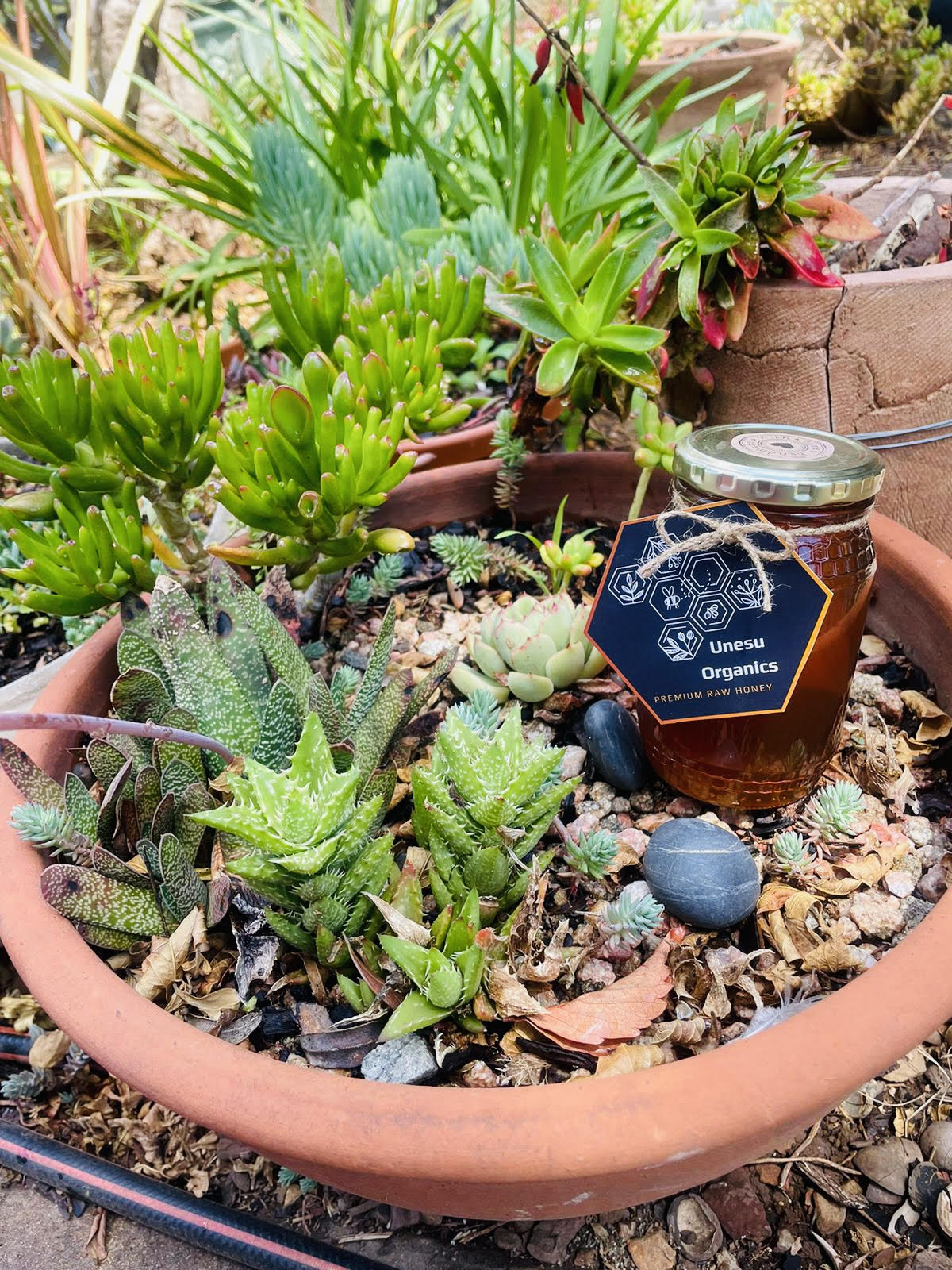  Raw Honey_0