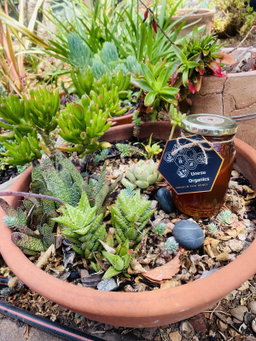 Honey based Products 