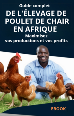 Livre numérique 