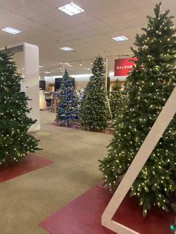 Flocked Alaskan Pine Tree