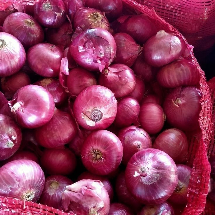 ලූනු (Copy)_0