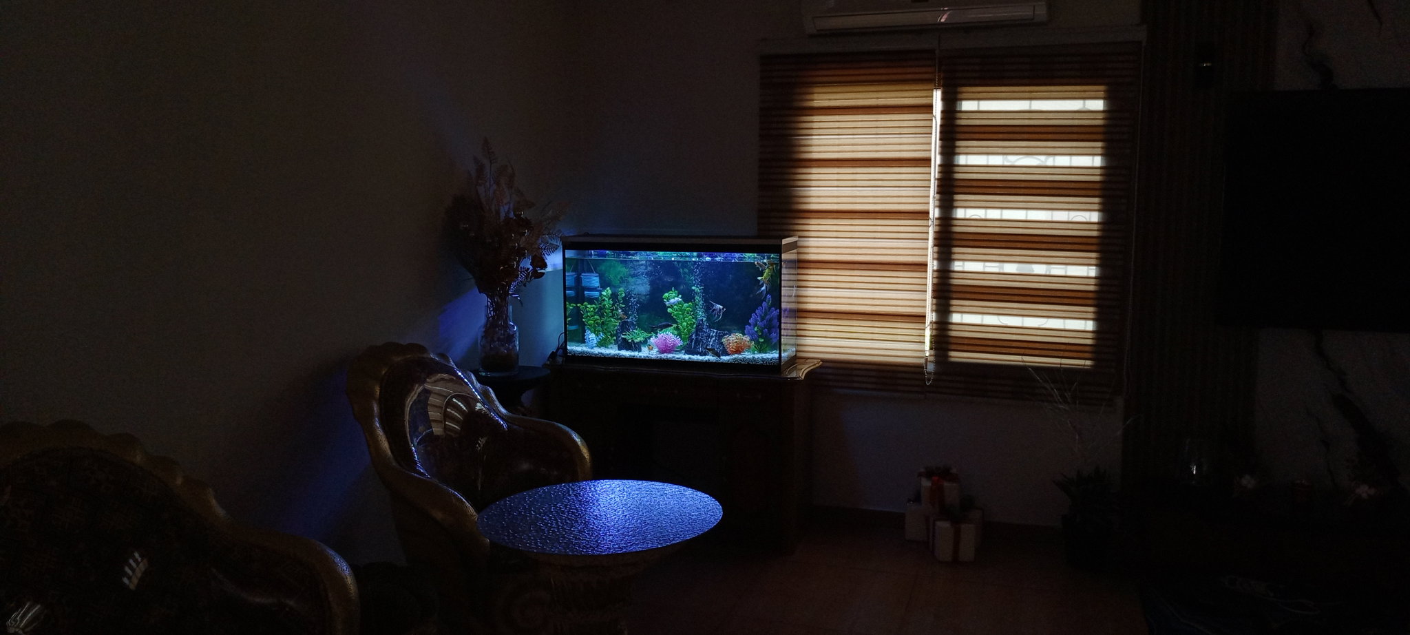 Aquarium 1m_0