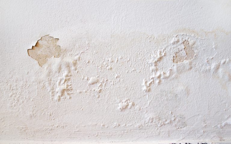 DAMPNESS / SEEPAGE INSPECCTION SERVICES_0