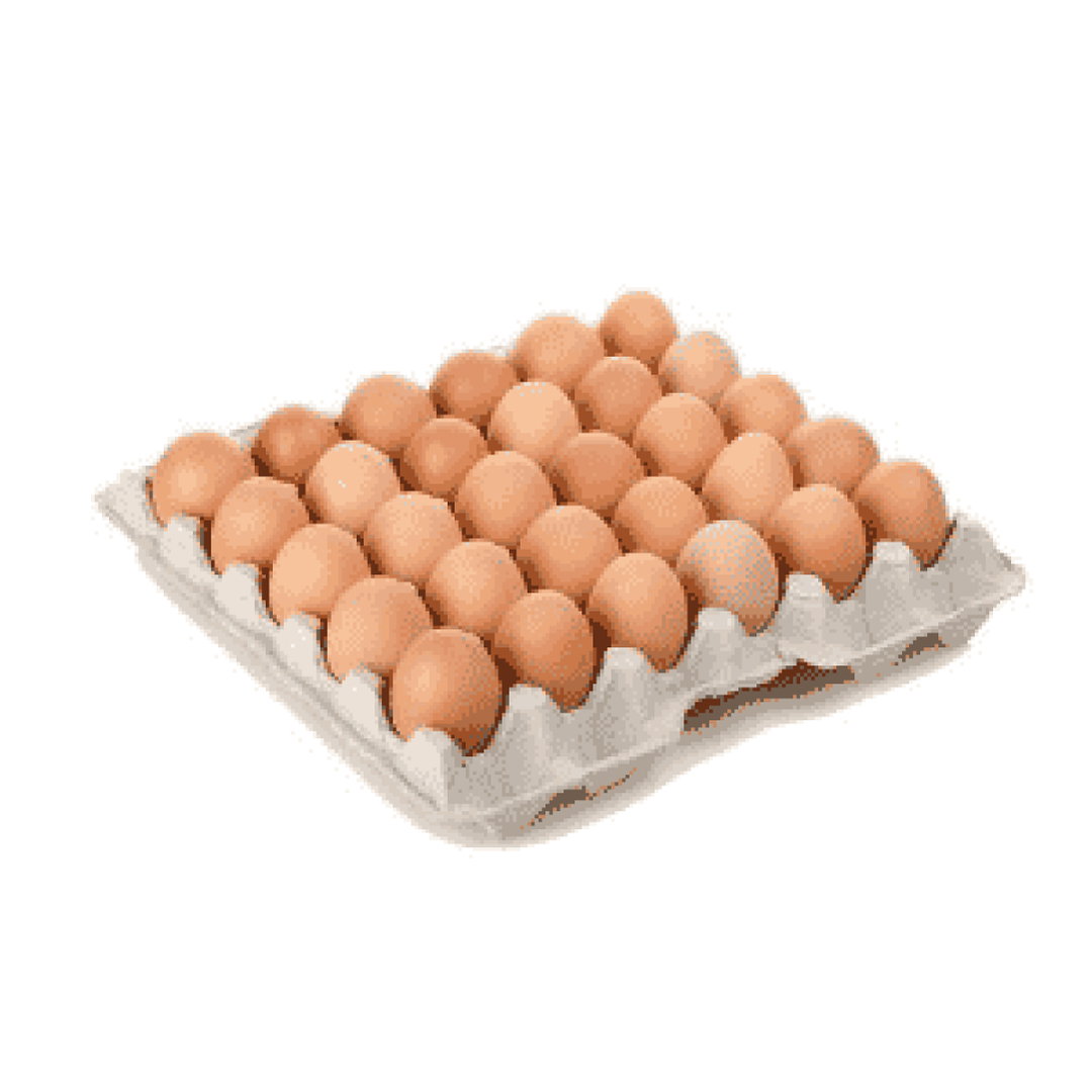 CARTÃO DE OVO 