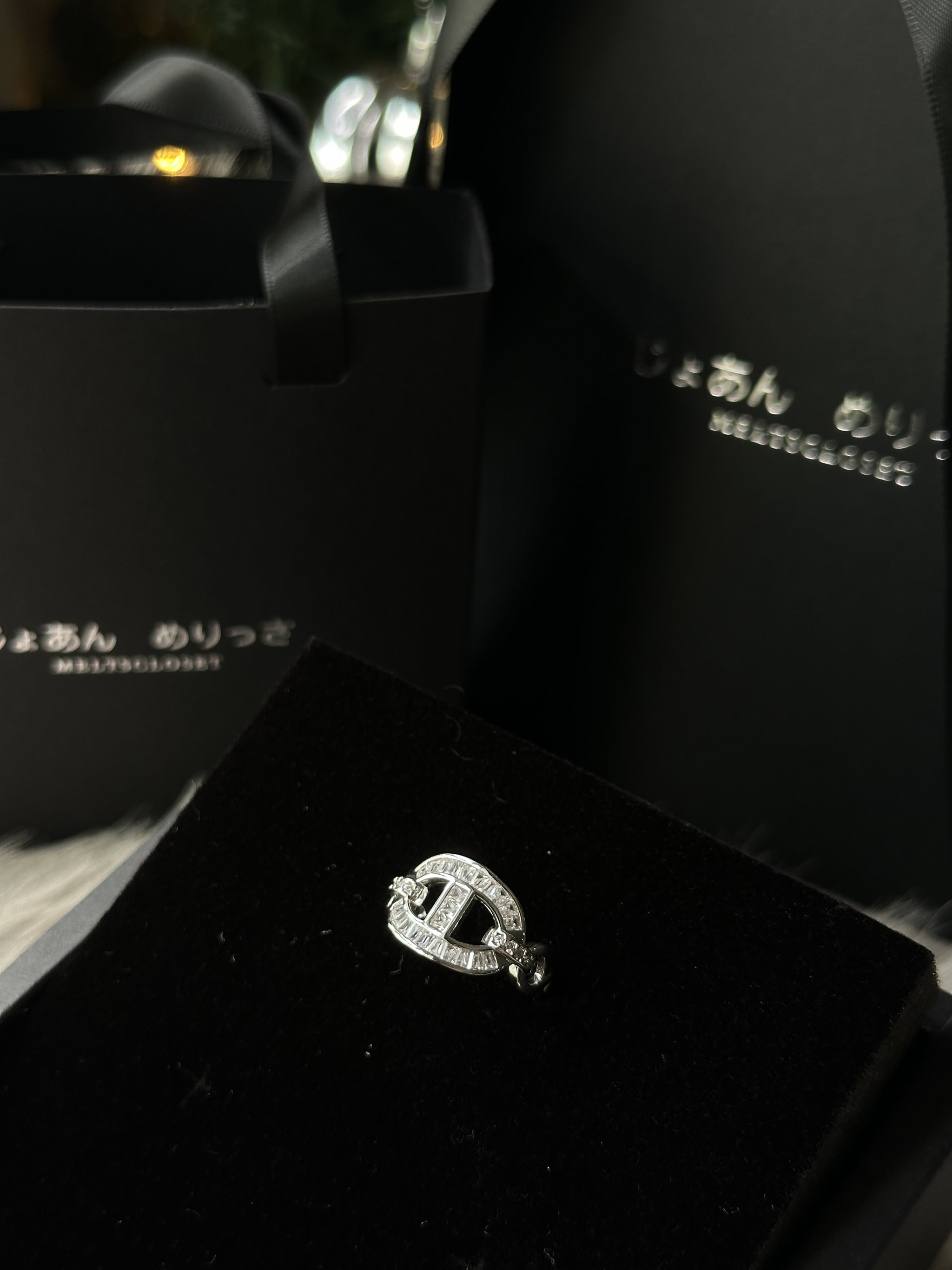 D’ANCRE RING (ADJUSTABLE)_3