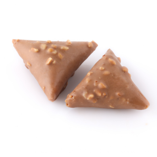 Samsa Chocolat Noisette 100 g