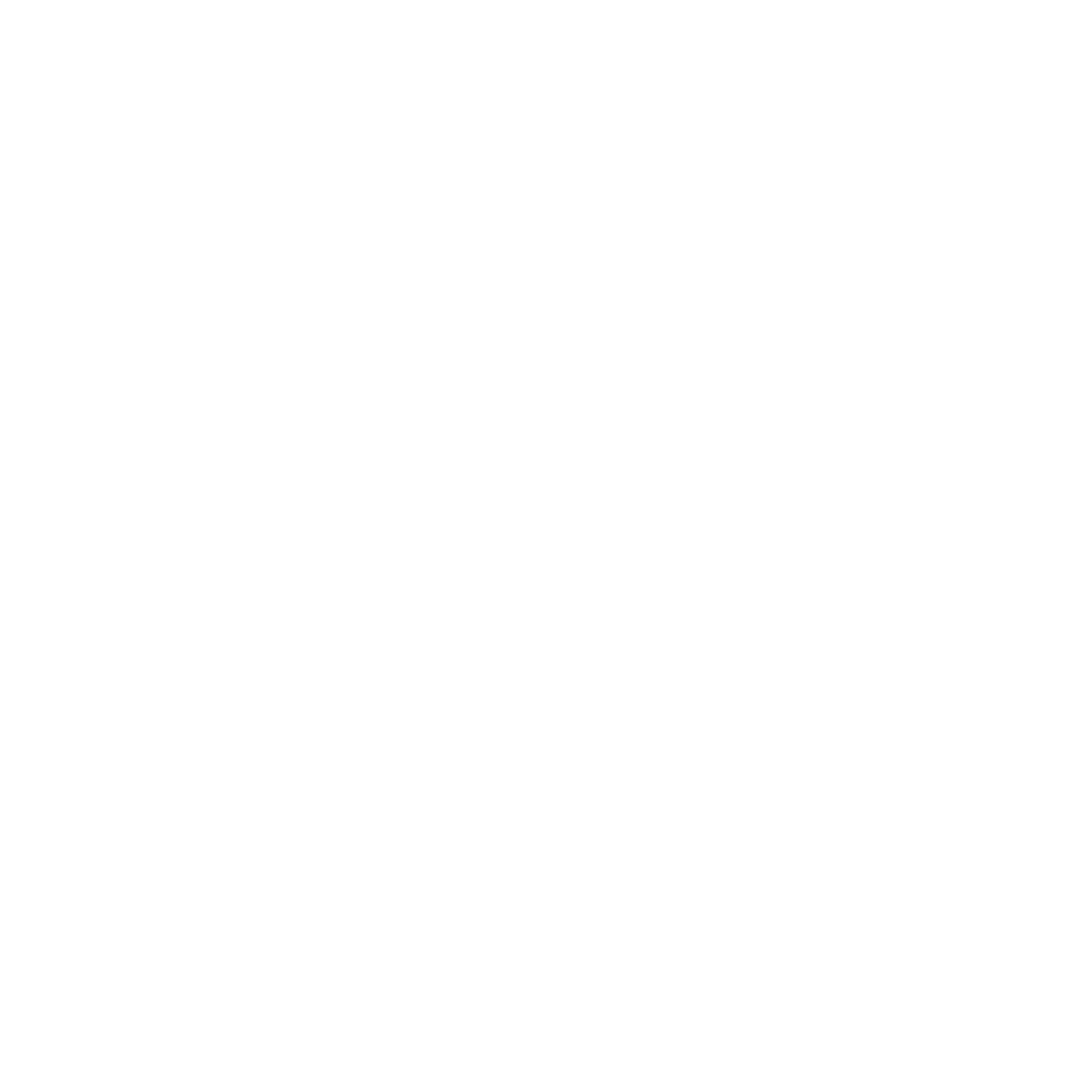 Ribeye com osso / bone in - 600g_2