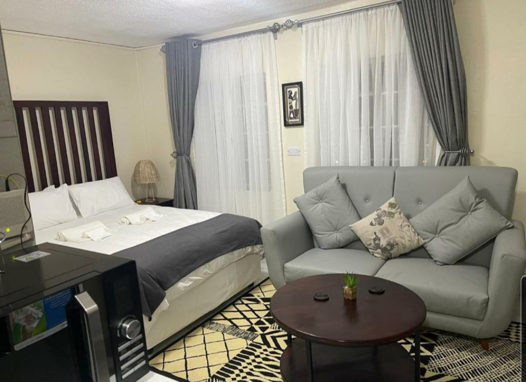 Cozy 1 Bedroom Apartment in Harare_6