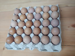 30 large free range eggs (>51g)