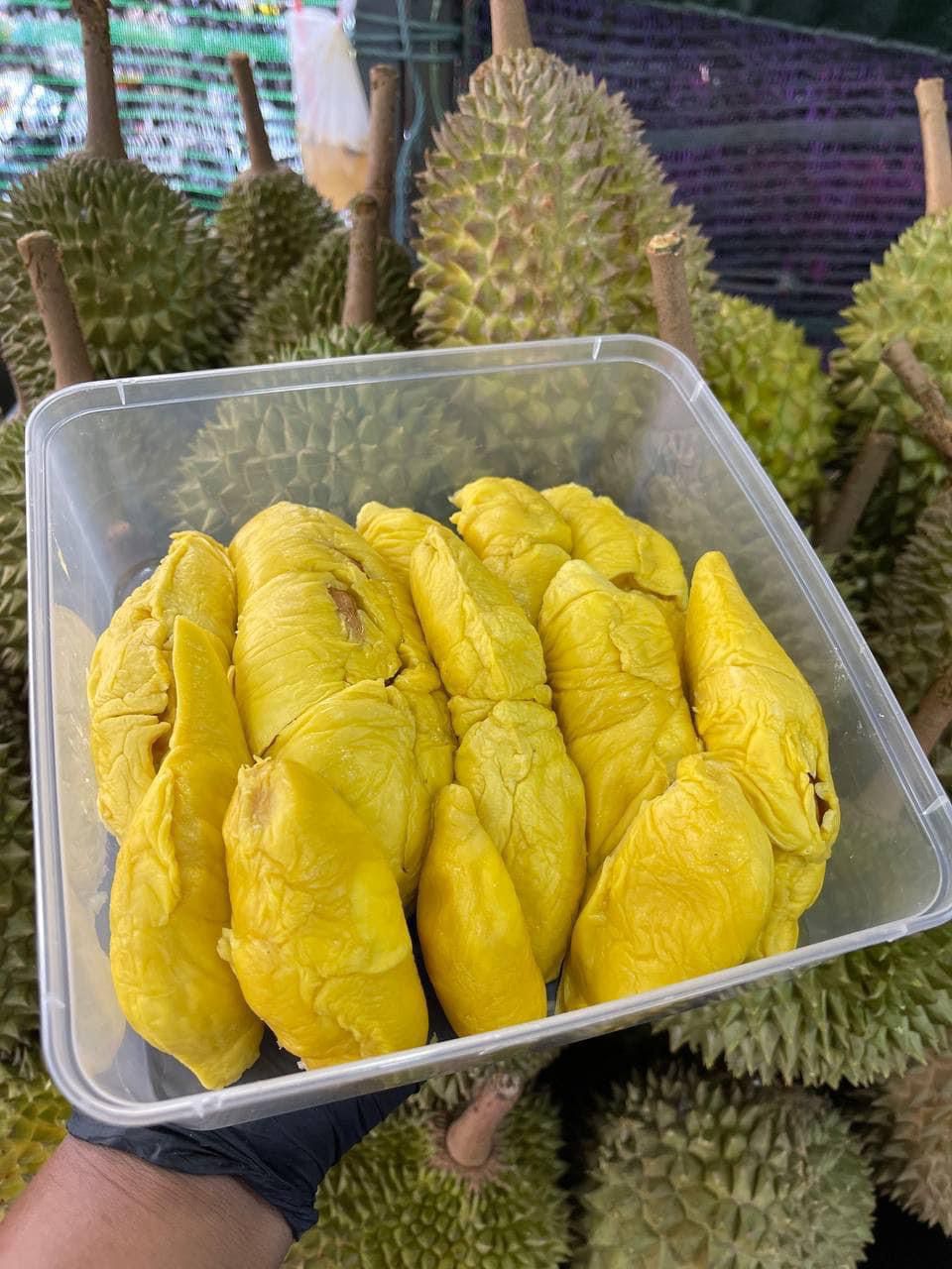Musang King