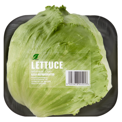 Head of Lettuce_0