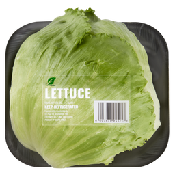 Head of Lettuce
