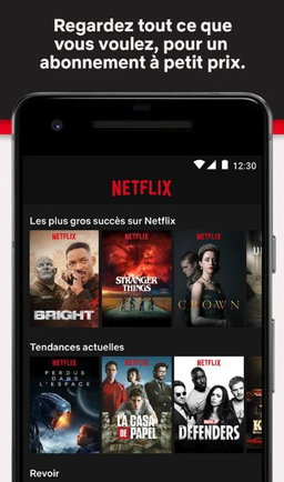 Netflix official 12 mois
