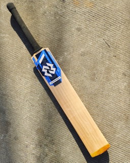 Standard Edition Bat  