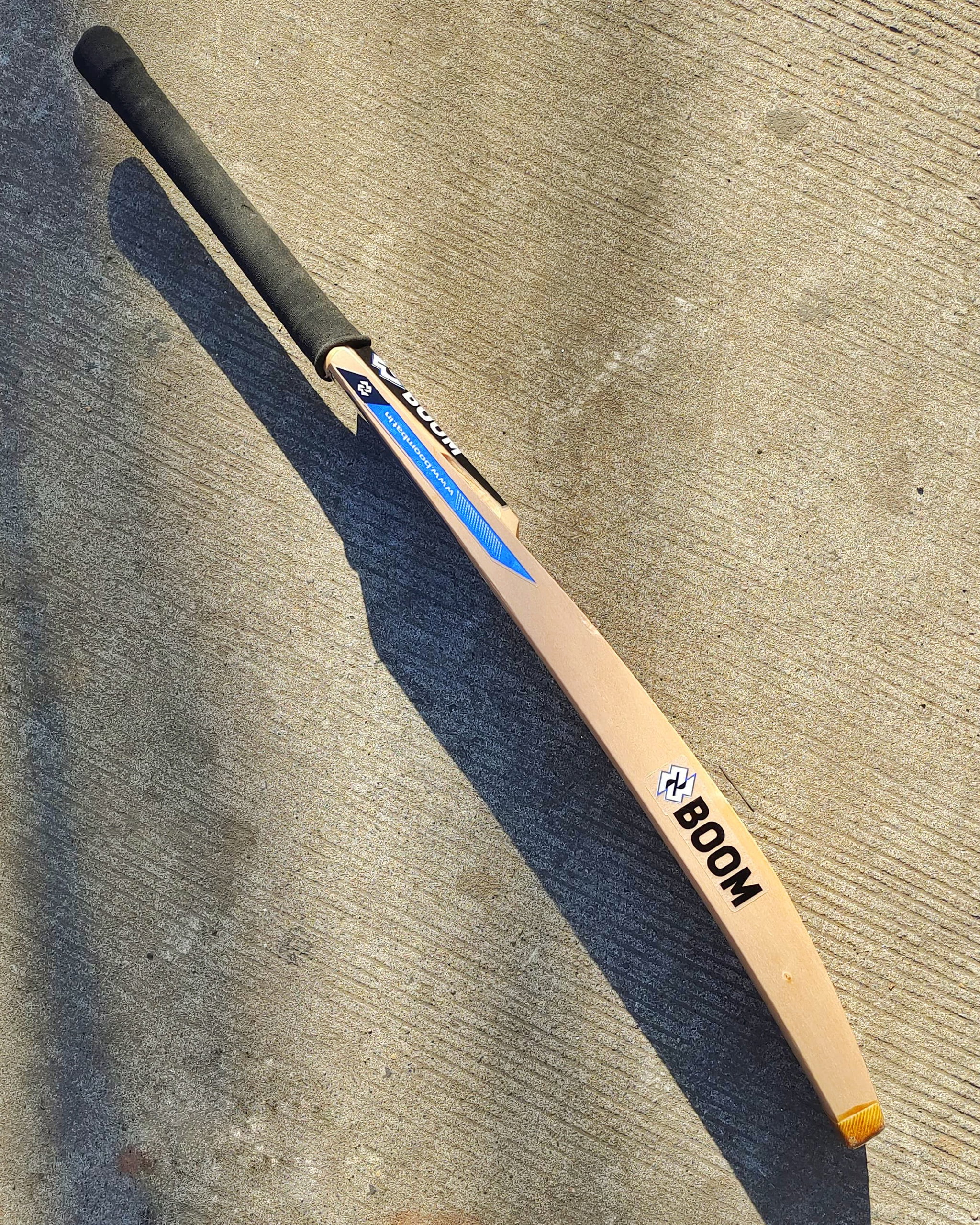 Standard Edition Bat  _2