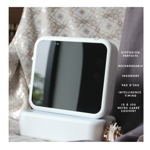 DIFFUSEUR DE SENTEUR GRANDE SURFACE_1