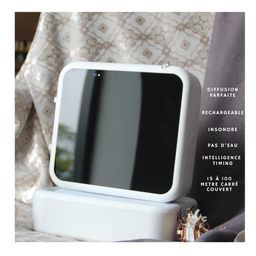 DIFFUSEUR DE SENTEUR GRANDE SURFACE