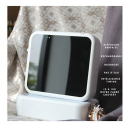 DIFFUSEUR DE SENTEUR GRANDE SURFACE