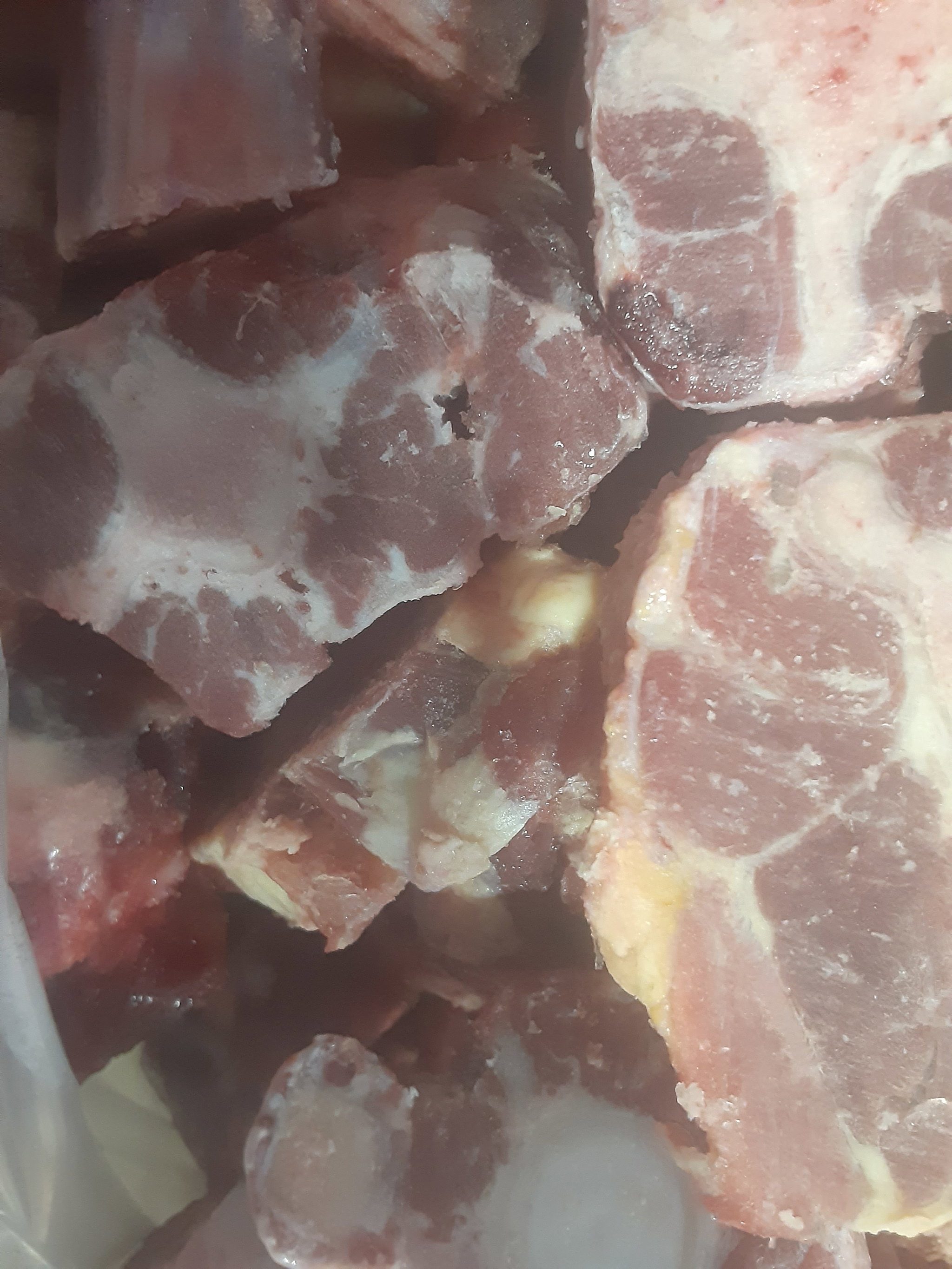 Oxtail_3