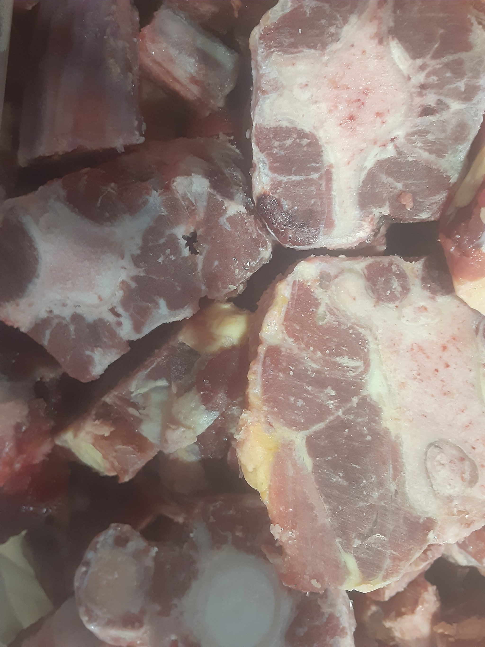 Oxtail_2