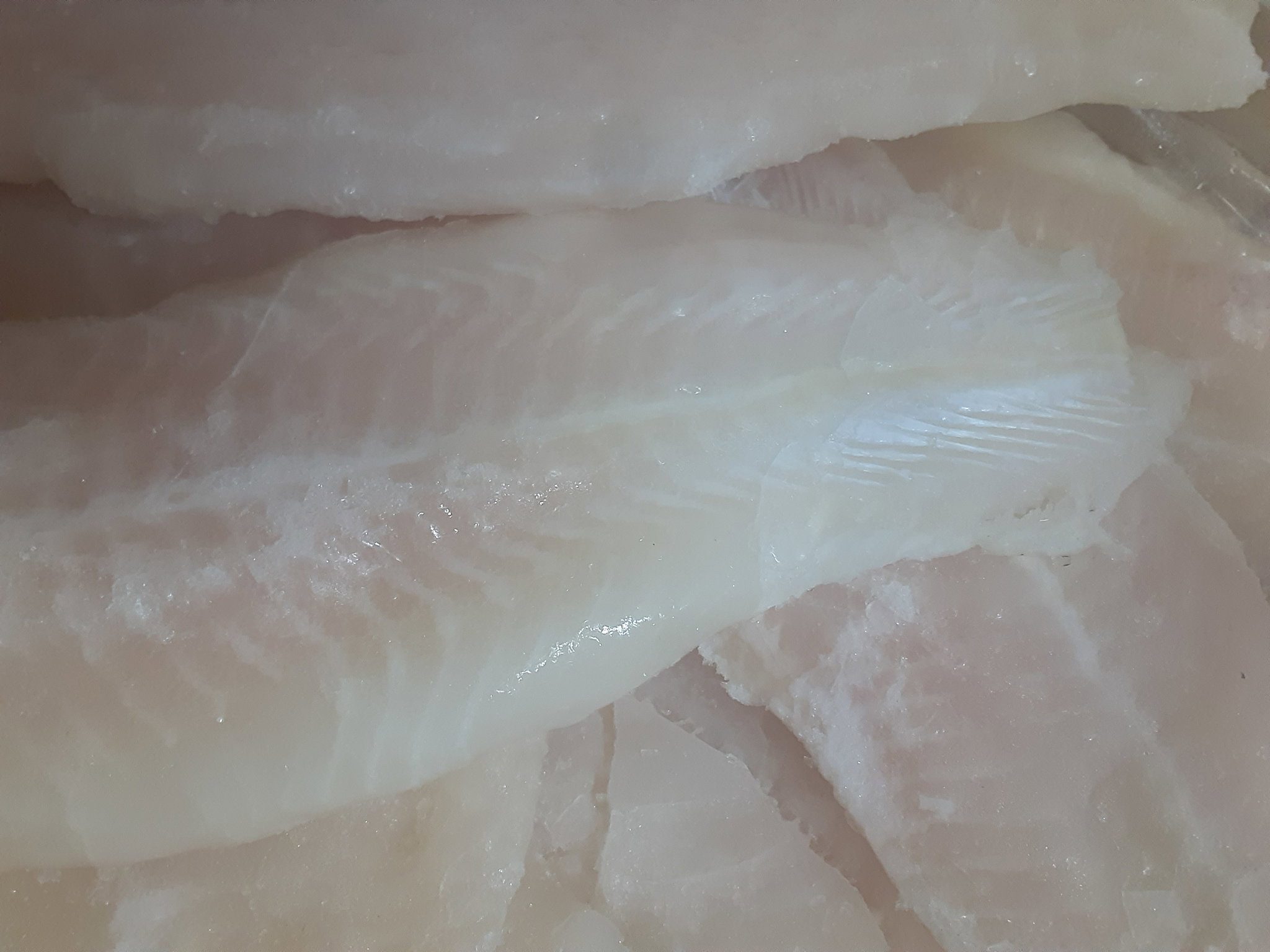 Basa Fish fillets _1