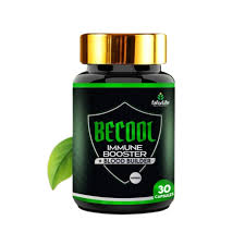BECOOL_0