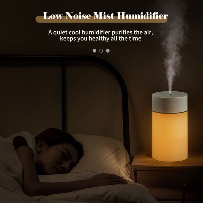 Mist Humidifier Diffuser_0