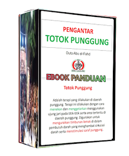 PAKET PENGHUSADAH TERAPI JARI PETIR