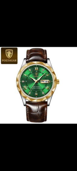 Poedagar