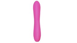 Staafvibrator