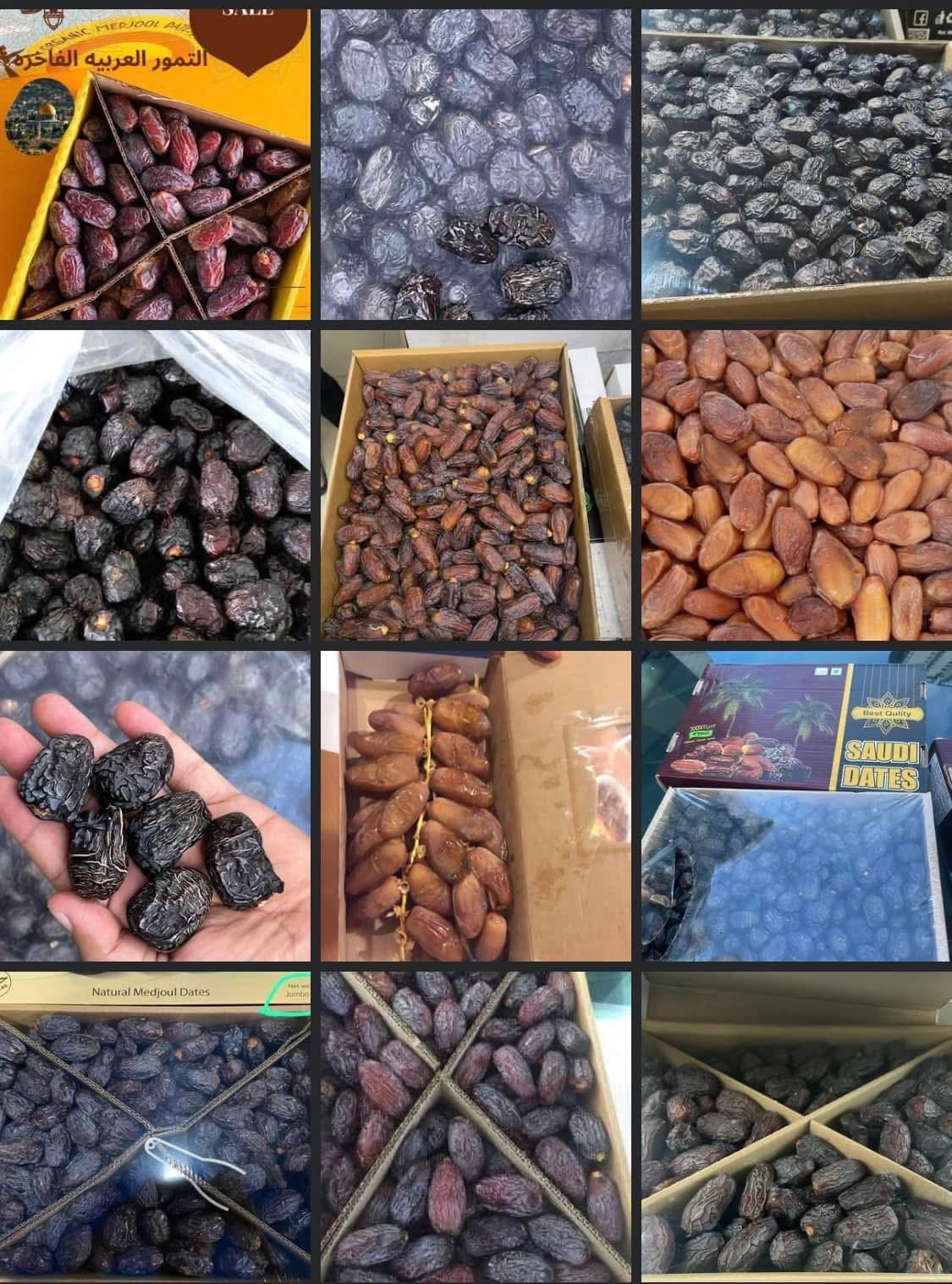 New arrive kurma wholsale _2