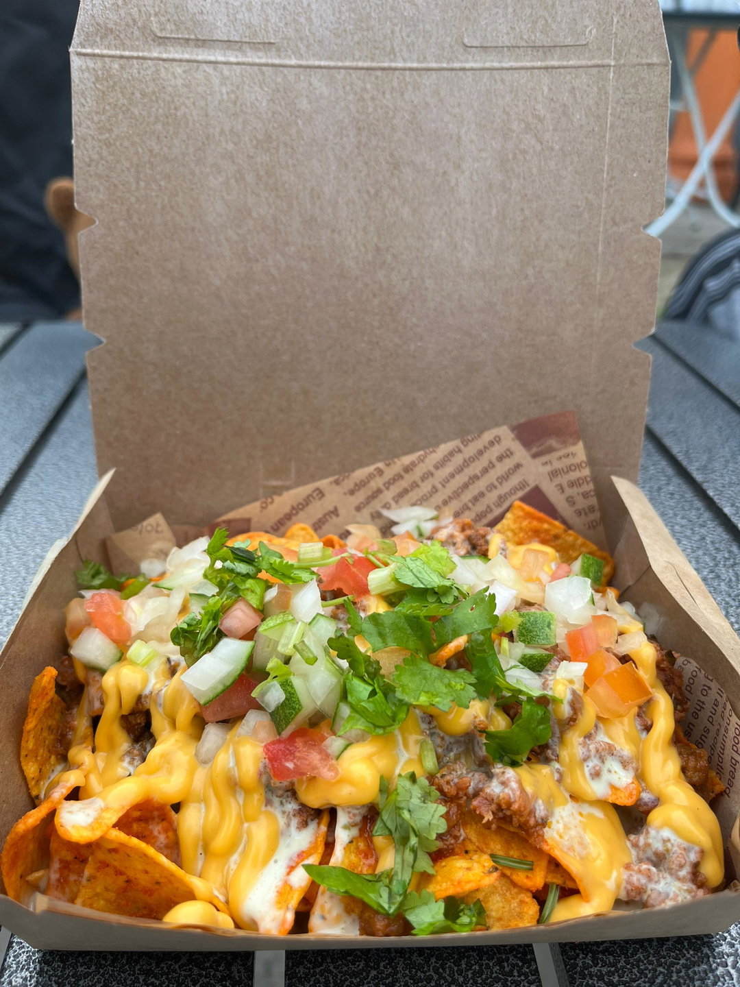 Loaded Gravy Nachos