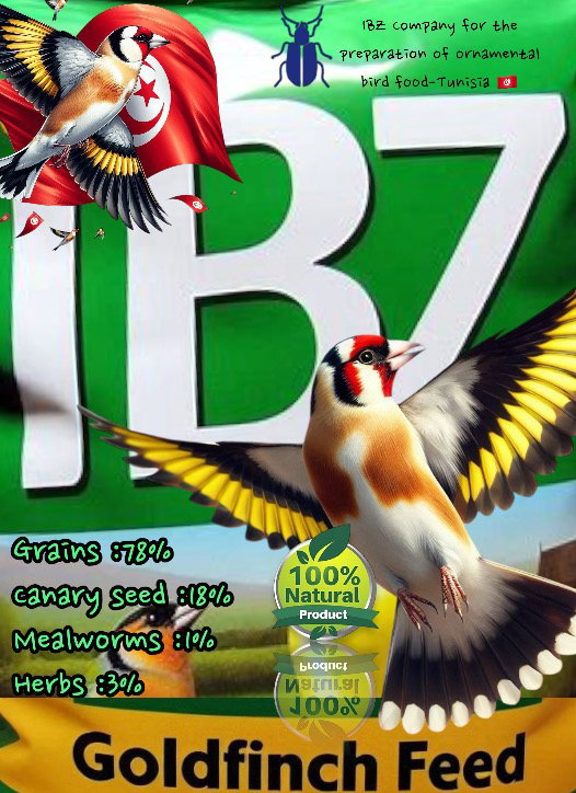 IBZ_2