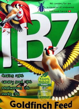 IBZ