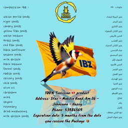 IBZ