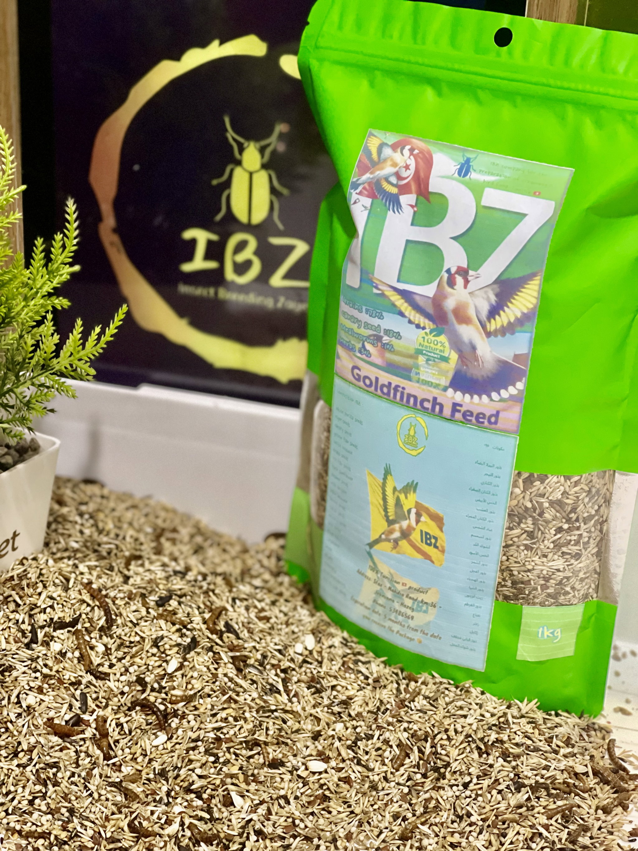 IBZ_1