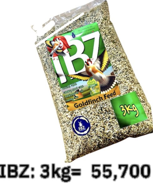 IBZ 