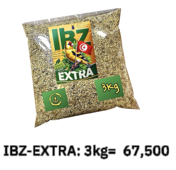 IBZ-Extra 